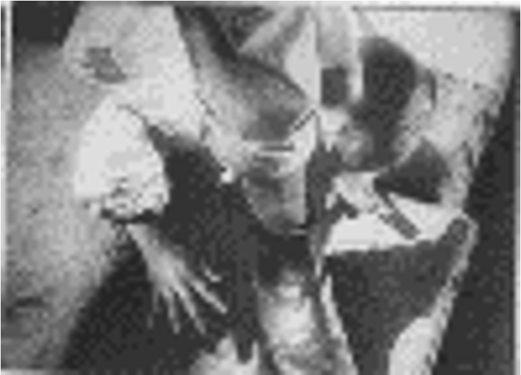 “1905” (фрагмент “Бунт на Потемкине”)